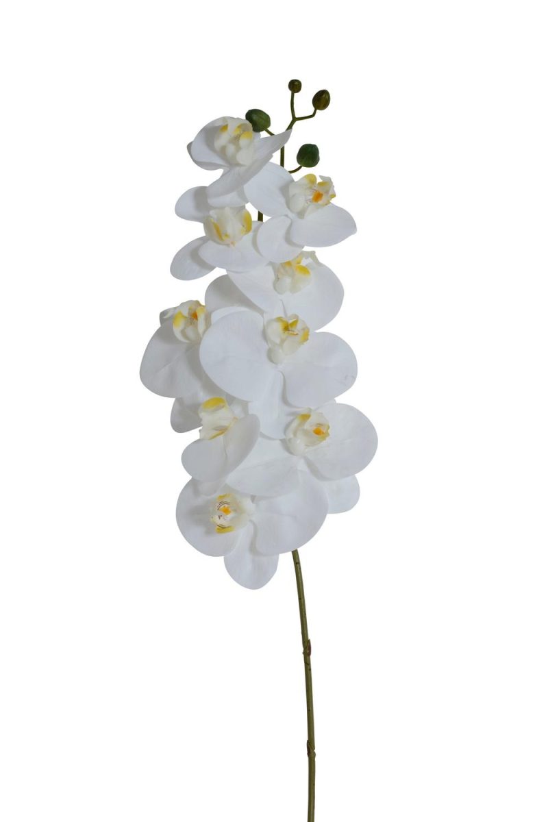 Konstväxt Orkidé kvist vit 80cm Stjernsund Kollektion