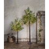 Dekorationsträd OLIVEC 180cm LED