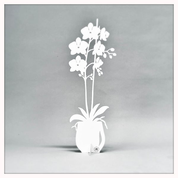 Orkidé - ETERNITY 2025 Vit 47 cm