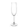 Champagneglas 20 cl SAN-plast Daloplast